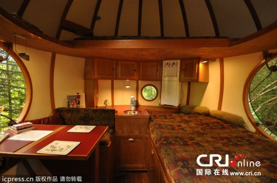加拿大男子巨资打造树上圆形屋 装潢精美(高清组图)