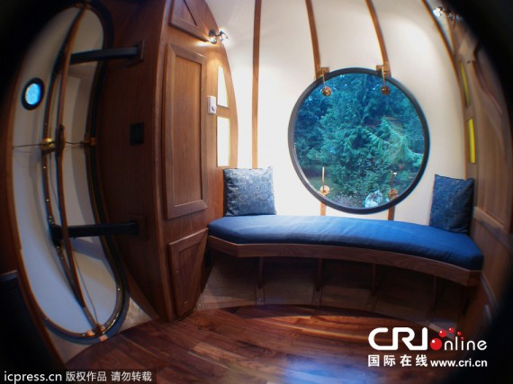 加拿大男子巨资打造树上圆形屋 装潢精美(高清组图)