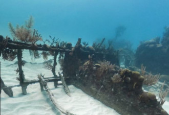 谷歌街景 展现19世纪著名幽灵船残骸