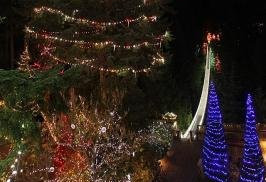 世界最高圣诞树高达152英尺 30日发光