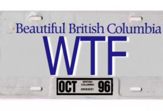 WTF？加拿大那些没被批准的个性车牌