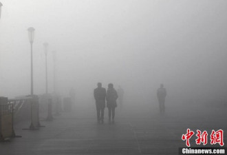 网友吐槽上海大雾：打开窗帘以为瞎了
