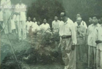59年毛泽东为父母上坟旧照 墓前鞠躬