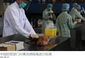 全球首宗人类感染H10N8病例江西死亡