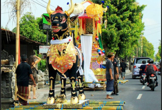 走进的乌布镇 实拍：巴厘岛人体艺术
