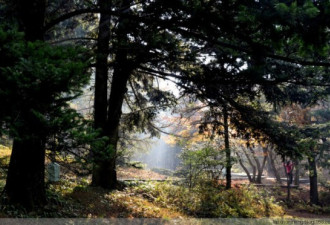 揭秘庐山别墅 毛泽东蒋介石都曾住过