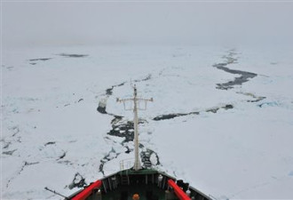 被困南极浮冰区 雪龙救援船成功突围