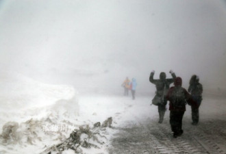 实拍南极洲之旅 在漫天风雪下坐飞机