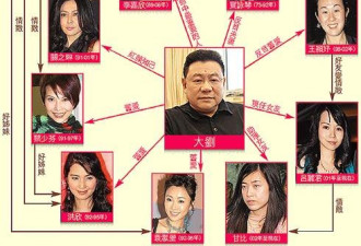 刘銮雄背后的9个女人 落选港姐成董事