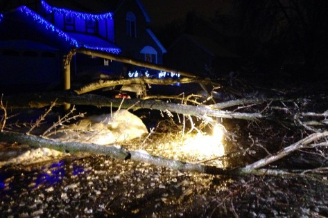 Lights illuminate a downed tree in Brampton on Dec. 22, 2013. Courtesy of the McCann family