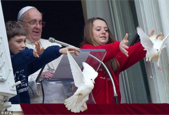 太囧了：教皇放飞和平鸽 海鸥乌鸦偷袭