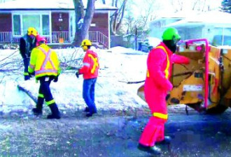 多伦多市七成民宅冰暴断树已清理完毕