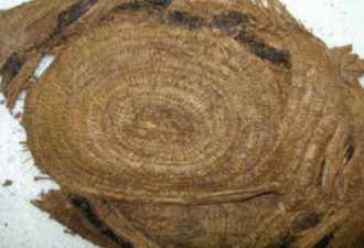 英发现4000年前公主墓 陪葬大量珍宝
