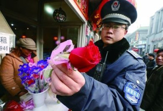 情人节中国满大街玫瑰 其实都是月季