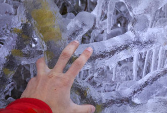 斯诺文尼亚罕见冰冻 10厘米冰盖全国