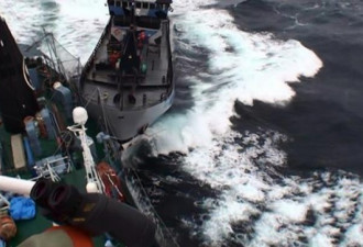 日本3艘捕鲸船冲撞攻击国际反捕鲸船