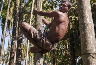 印度一男子长37厘米长尾  被尊为猴神