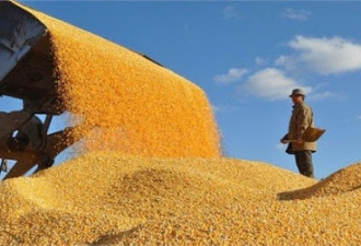 中国大量进口粮食 世界能不能养活？