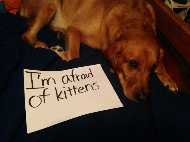 photo-7