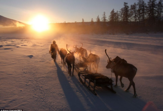 实拍：西伯利亚驯鹿人-60度卧雪入睡