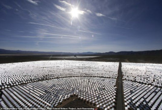 世界最大太阳能电厂 鸟类飞过被烧焦