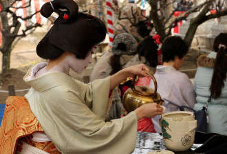日本京都的梅花祭 艺妓奉茶招待游客