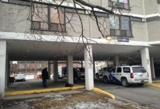 多伦多公寓枪响 年轻女子脑部中弹死亡