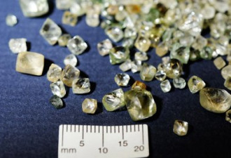 皮尔逊国际机场查获1500克拉走私钻石