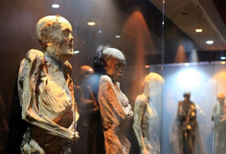 慎入：实拍世界上最恐怖的人尸博物馆