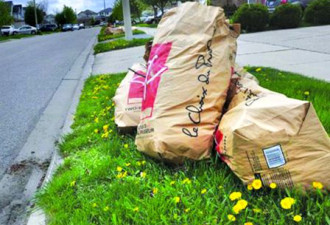 多伦多恢复收集庭院废物 每两周一次