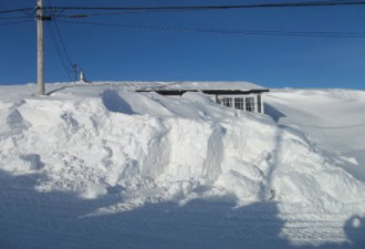 纽芬兰大雪 夫妻度假归来整栋民宅被埋