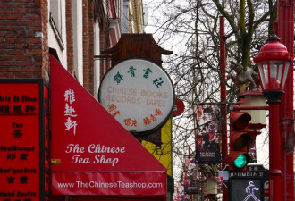 多伦多驴友春游温哥华 随拍初春街景