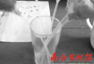 广东山区教师患白血病 坚守讲台10年