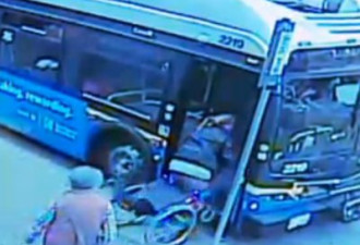 公车司机拒载 轮椅妇站起来殴打司机