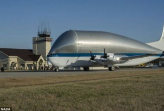 美国研制超大飞机 翼展48米好似巨鲸