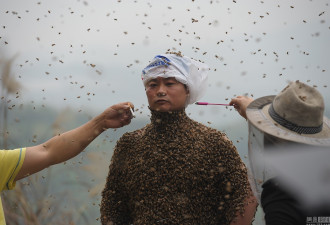 男子赤膊召来46万只小蜜蜂制“蜂衣”