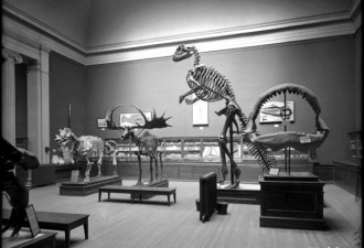 博物馆珍贵旧照：巨兽标本到月球模型