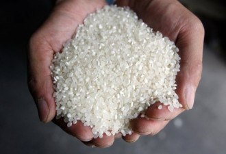 警惕大米中的毒素 结构单一容易出问题