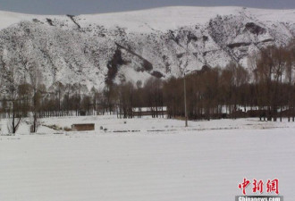 甘肃河西走廊入夏后大雪 积雪达10厘米