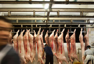 大企业齐抬价：中国猪肉20天暴涨26%