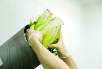 蔬果汁+特别餐单：3日排毒法绿化身体