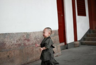 福州西禅寺1岁超萌“小和尚”红爆了