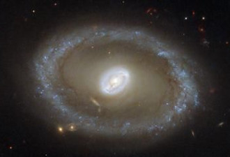 哈勃望远镜发现新生恒星 呈金色环状