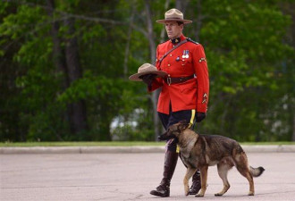 蒙克顿葬礼：加拿大向三名骑警最后致敬