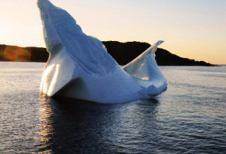 纽芬兰漂流冰山今年数量特多 游客涌入