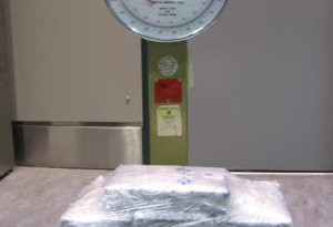 12公斤砖内藏毒 皮尔逊国际机场被查获