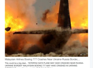 马航载295人客机在乌俄边境被导弹击落
