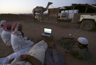 正确的看球姿势：土豪牵骆驼沙漠观战