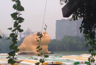 北京出现22米高充气蛤蟆 影射某人？