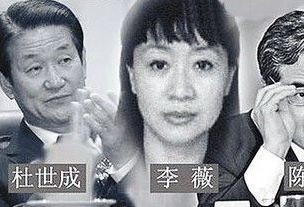 中国著名公共情妇 最高搭上正部级官员